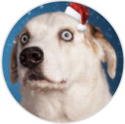 Client user img